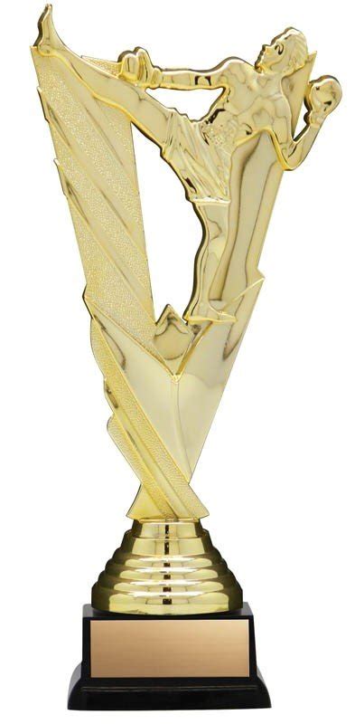 Mma Victory Series Trophy — Trophy Gallery Canada Shop Online 5000