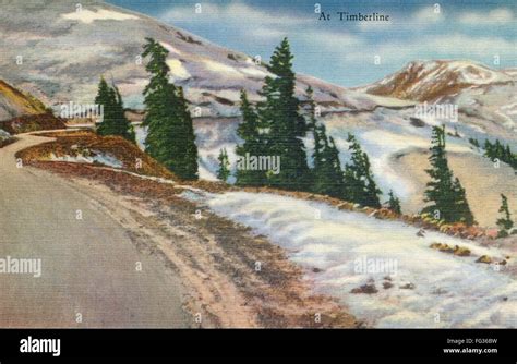 Montana Beartooth Highway Nthe Timber Line Along The Beartooth