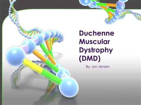 PPT Duchenne Muscular Dystrophy DMD PowerPoint Presentation Free