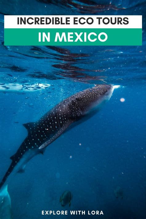 Ecotourism in Mexico: 9 Sustainable Tours You'll Love – Explore With Lora
