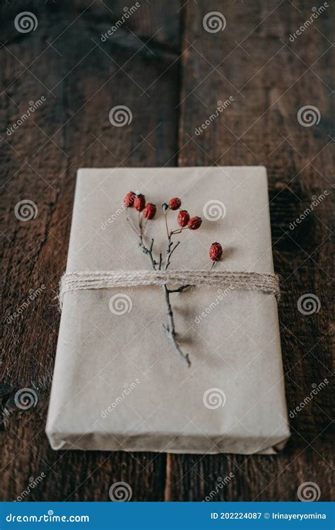 Eco Friendly Sustainable Zero Waste Christmas Gift Wrapped In Kraft