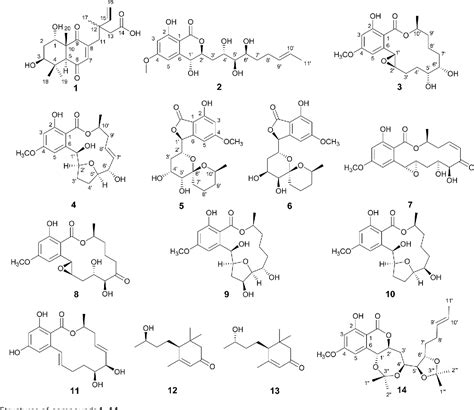 Figure 1 from A new seco pimarane diterpene and four new β resorcylic