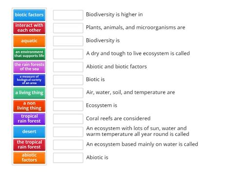 Ecosystem Vocabulary Une Las Parejas