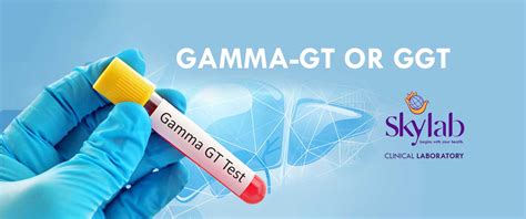 Ggt Gamma Glutamyl Transferase Examination Clinical Laboratory In