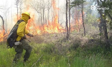 Abren Postulaciones Orientadas A Formar Equipos Para Combatir Incendios Forestales Diario De