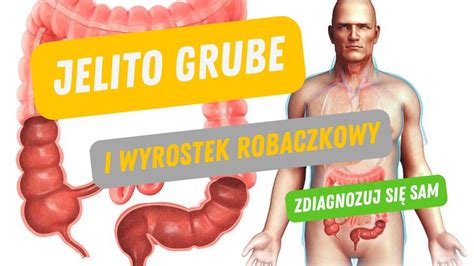 Jelito grube i wyrostek robaczkowy w pigułce Zdiagnozuj się sam YouTube