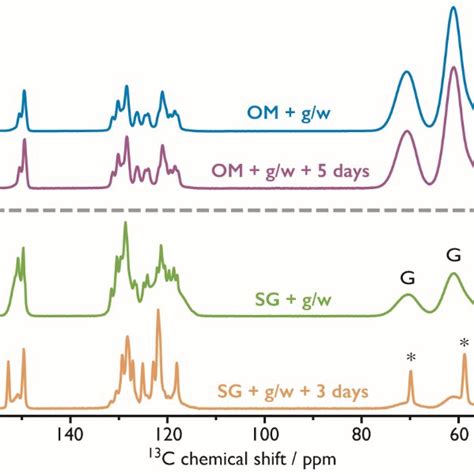 Time Dependent 105 K DNP Enhanced 1 H 13 C CPMAS NMR Spectra A