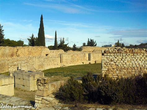 Zaher Kammoun Les Amphith Tres Romains En Tunisie