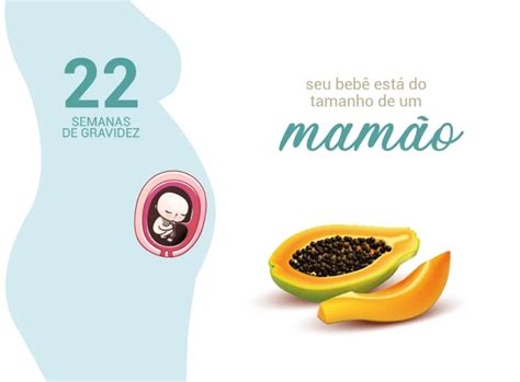 22 Semanas De Gravidez Blog Da Cordvida