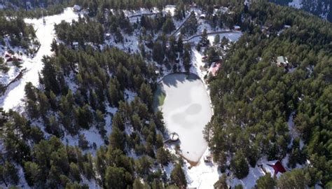 Limni G L Tabiat Park K Mevsiminde Yaban Hayvanlar Na Ev Sahipli I