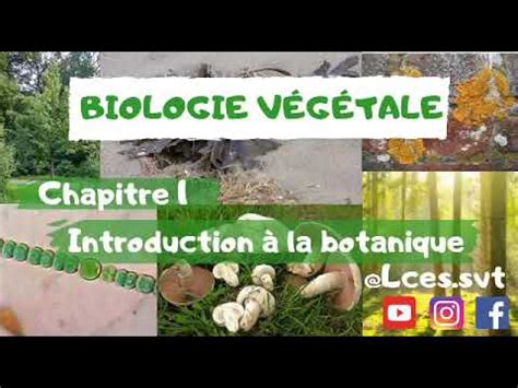 Biologie végétale chapitre 1 Introduction à la Botanique شرح