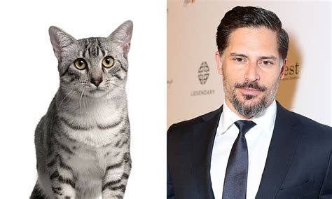 Celebrities Who Look Like Animals