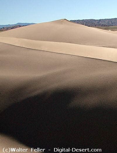 Dumont Dunes Off Highway Vehicle Area