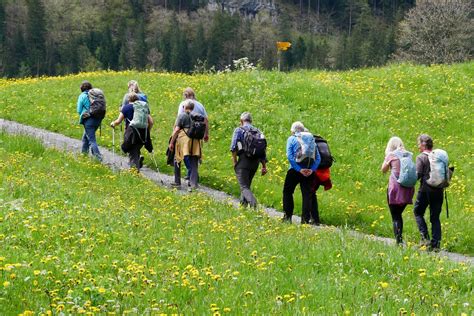 Festival Der Natur Botanische Wanderung Im Gasterntal