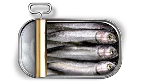 How A Sardine Shortage Made Canned Tuna Possible