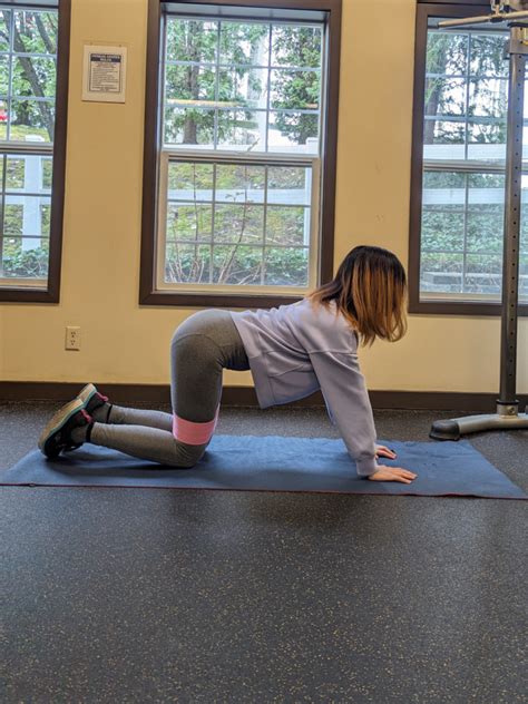 Quadruped Hip Extension Workouts Nakanaka Mom Fitness