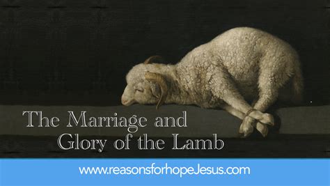 Lamb Of God Bible