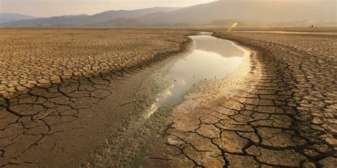 Entenda como a crise hídrica impacta o agronegócio Quist