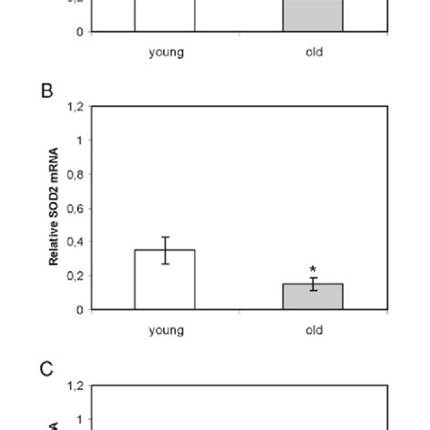 Sod1 A Sod2 B And Catalase C Mrna Expression Levels In Granulosa Download Scientific