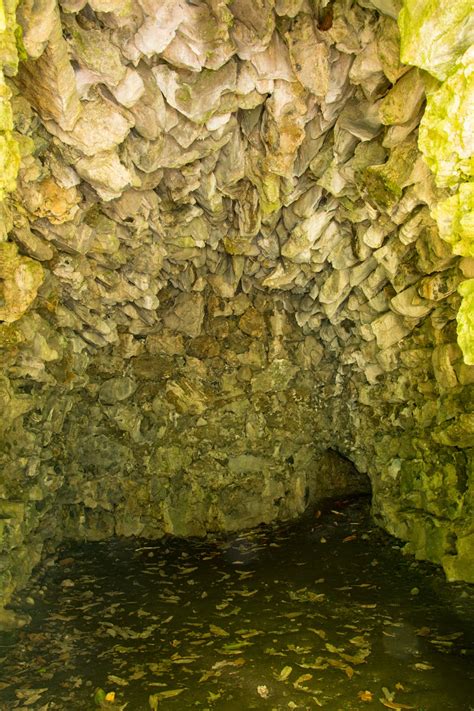 A Tree Falling Dromoland Castle Part Ii