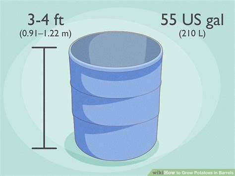 How To Grow Potatoes In Barrels With Pictures Wikihow