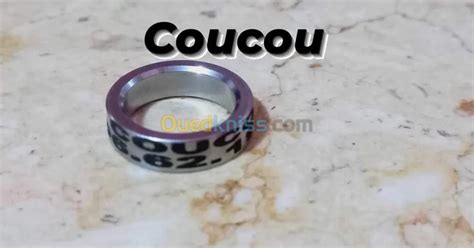 Bague d identification Personnalisée Perroquet gaboné Blida Algérie