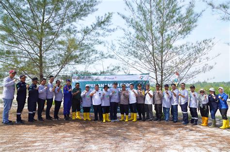 Peringati Hari Mangrove Sedunia Pt Timah Tbk Tanam Mangrove Di