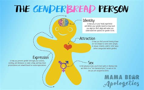 The Genderbread Person Part Gender Identity Mama Bear Apologetics