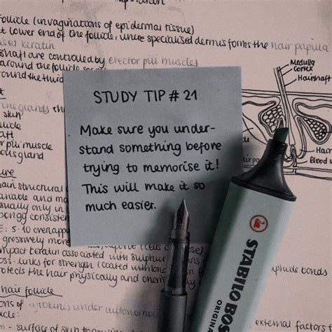 12 Effective Study Habits That Will Boost Your Grades Artofit