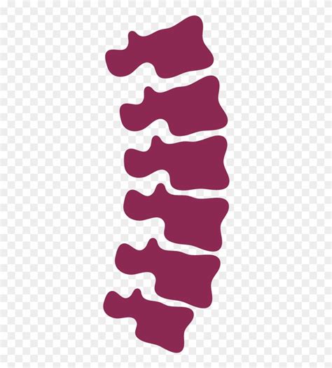 Chiropractic Spine Icon Clipart 208483 PinClipart