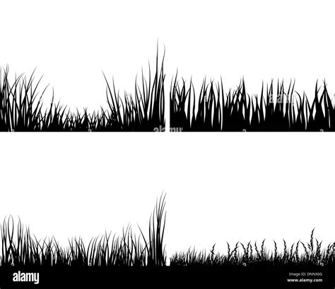 Set Of Different Meadow Vector Grass Silhouettes Stock Vector Image And Art Alamy