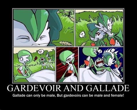 Gardevoir And Gallade By 66dragonite On Deviantart