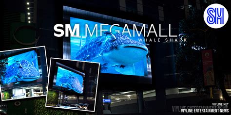 LOOK: Massive 3D ‘Butanding’ is Back in SM Megamall! - ViyLine Media Group