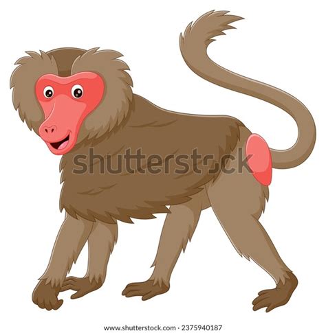 Funny Baboon Stock Photos - 7,782 Images | Shutterstock