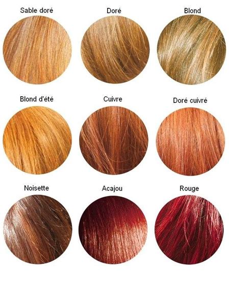 Coloration V G Tale Bio Nuancier Couleur Cheveux Shampoing Colorant