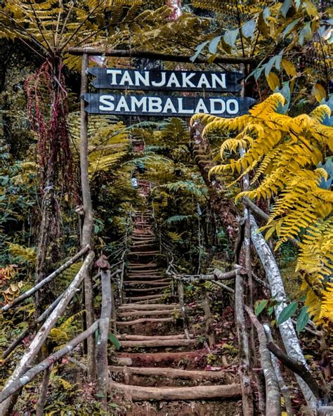 Gunung Kencana, Tempat Istimewa Menikmati Keindahan Bogor dari Ketinggian