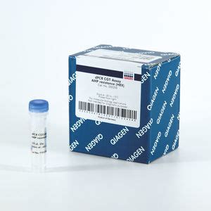 RT PCR Reagent Kit QuantiTect QIAGEN Reverse Transcriptase For