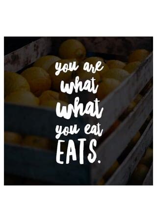 Best Food Quotes For Food Lovers Pdf