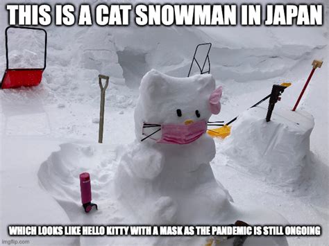 Cat Snowman Imgflip