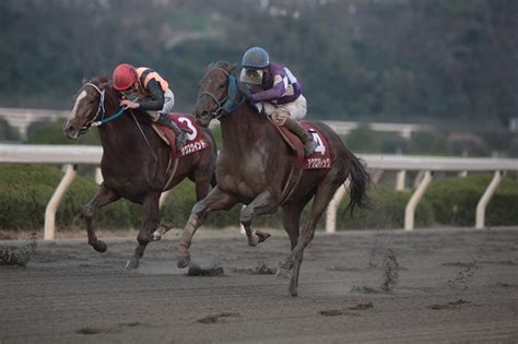 【中山牝馬ステークス2018】過去データから見る1着予想／得意距離で2年ぶりの重賞v目指すアノ馬の好走を後押しするデータがズラリ！ レッド