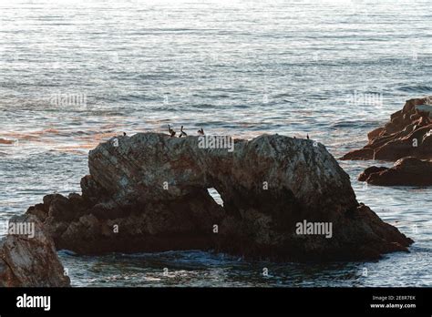 Rocky Cliffs At Sunset Shell Beach At Pismo Beach California Central
