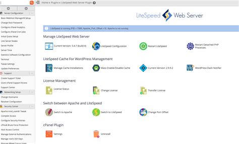 Install Litespeed Web Server In Cpanel