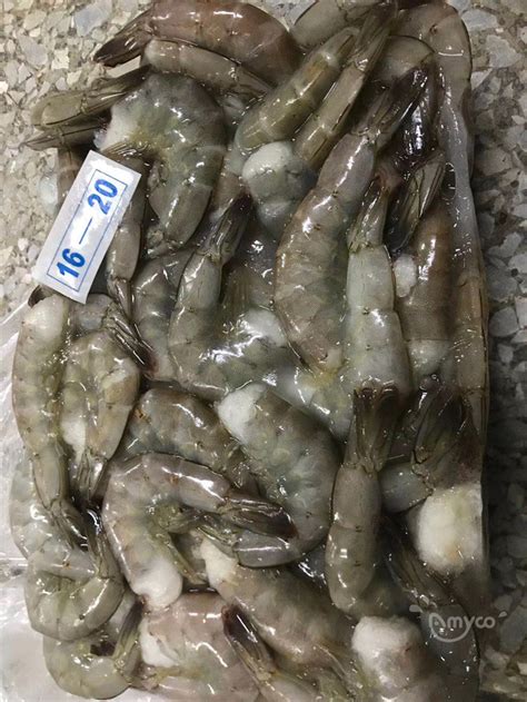 China Vannamei Shrimp Choso Shrimp Producermanufacturerfactoryplant