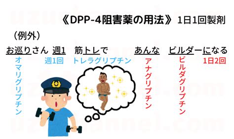 【ゴロ】dpp 4阻害薬の用法 ゴロナビ〜薬剤師国家試験に勝つ〜