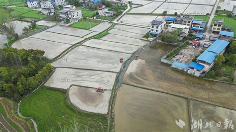 崇阳县青山镇：农机奔腾 千亩稻田翻耕忙人民号