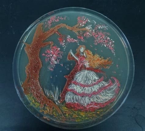 Our 11 Favorite Bacteria Art Submissions From Asms Petri Dish Picasso