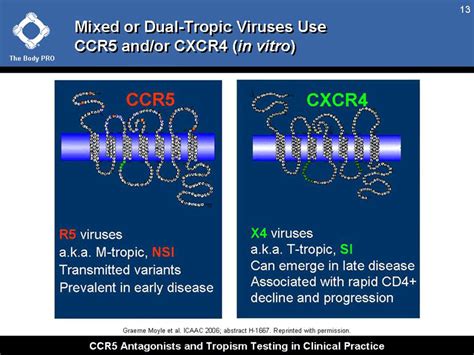 Ccr Antagonists And Tropism Testing In Clinical Practice Thebodypro