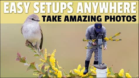 How To Build Setups To Take Fantastic Bird Photos Step By Step Guide