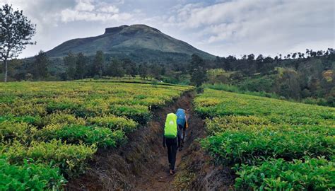 Jalur Pendakian Gunung Sindoro Mana Favoritmu