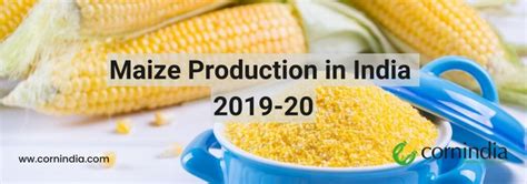 Maize Production in India 2019-20 - Corn India